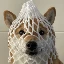 WDOG图标